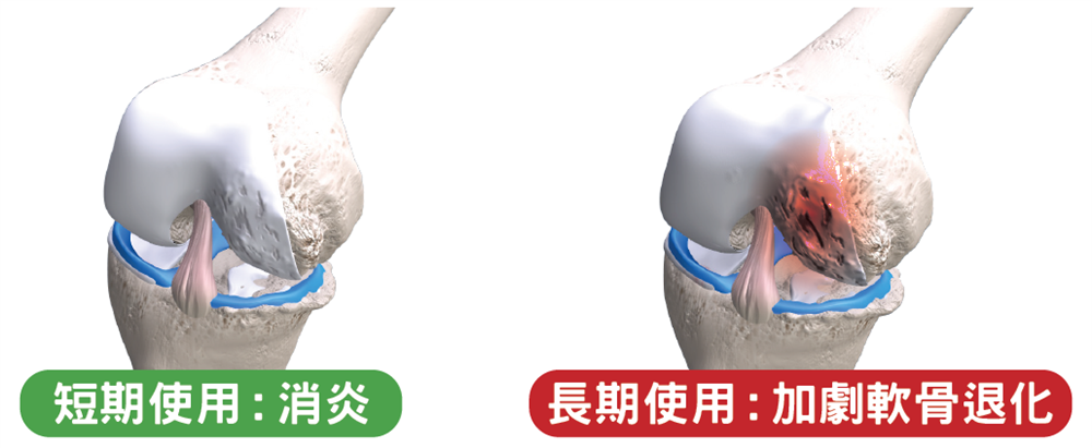 Steroids Diagram Bottom